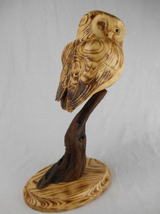 Boreal Owl